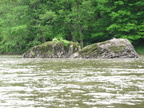 IMG 4721